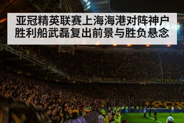 football stadium night crowd