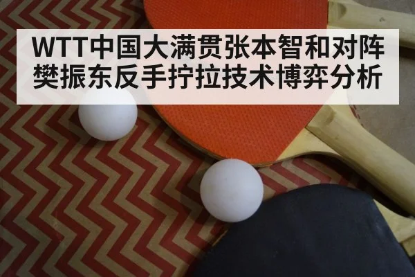 table tennis paddle closeup