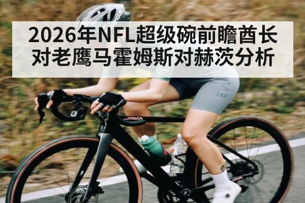 2026年NFL超级碗前瞻酋长对老鹰马霍姆斯对赫茨分析
